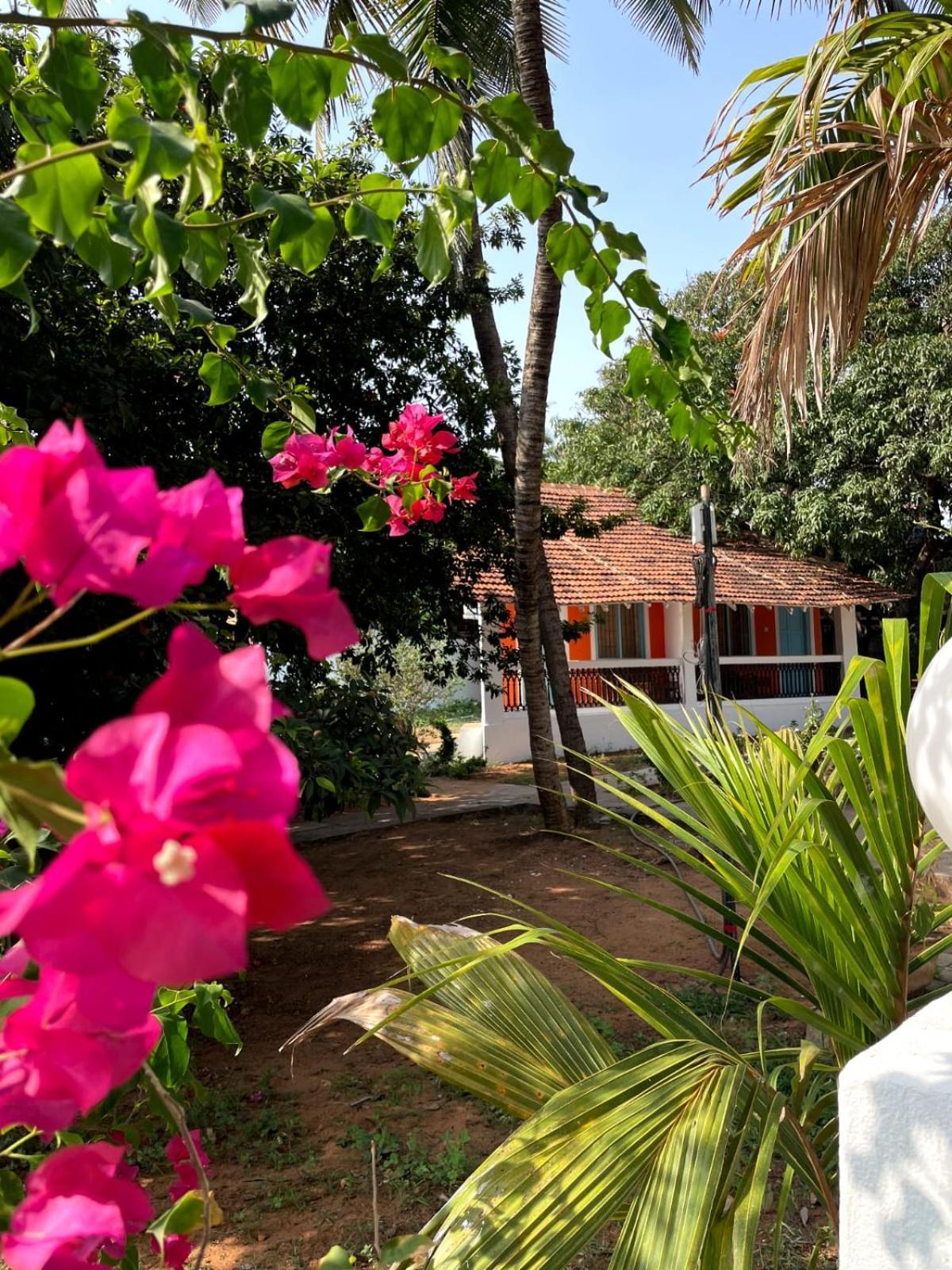 Papilio Beach Front Cottages-Tbv Baga Esterno foto